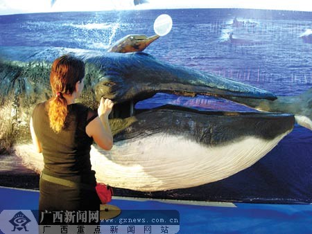 广西自然博物馆精品展首次开放巨鲸标本亮相