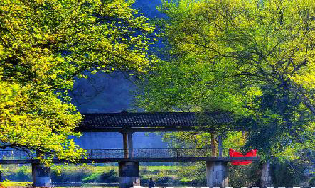 еĹֽ