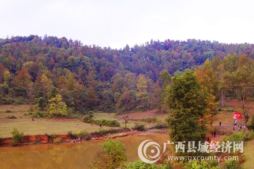 _MG_6242.jpg
