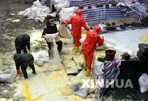 xin_38301092810000463044927.jpg