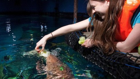 20120531044145837.jpg