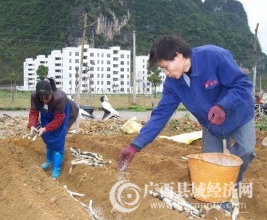 tiandengchungeng.jpg