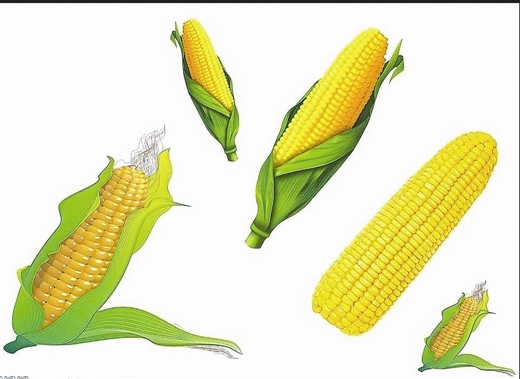 סʦոʧ