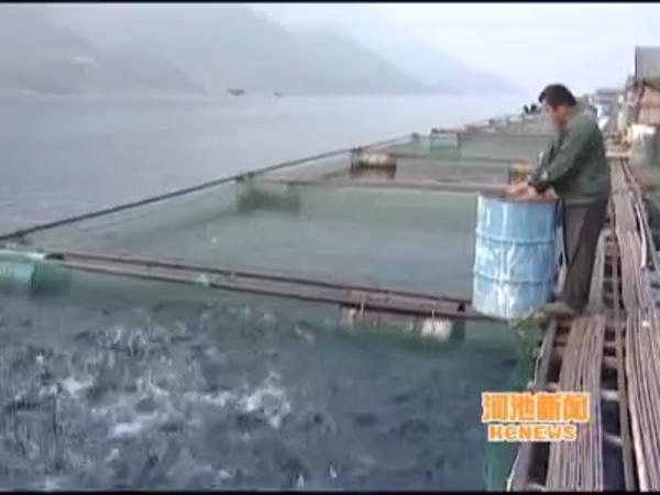 룺ٴٻȫƽҵʾءƺ