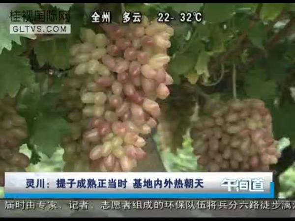 鴨ӳʱ ȳ