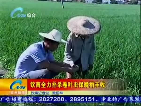 ȫɱҶ汣