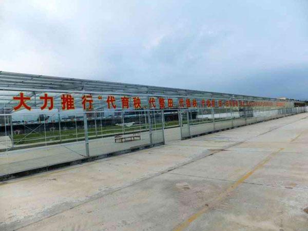 厚禄乡人口_广西桂平厚禄乡田窦村(2)