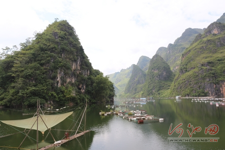 充分利用库汊养鱼,已经成为大化瑶族自治县北景镇库区移民脱贫致富的