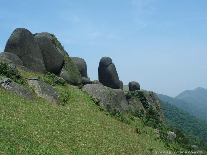 ֱ羰