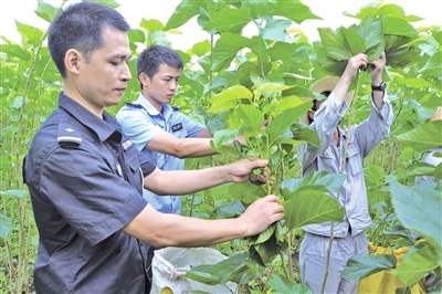 来宾市:近年来扶贫开发工作综述 - 广西县域经