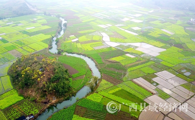 DJI_0006_