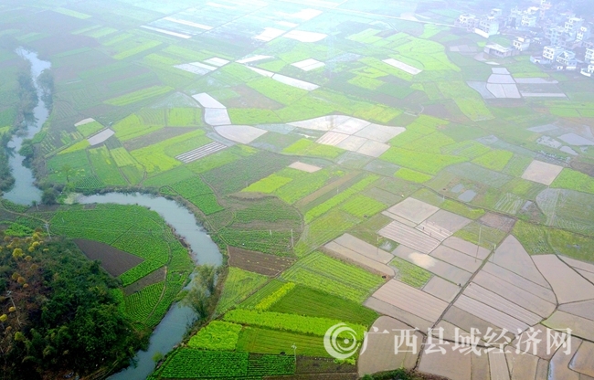 DJI_0010_
