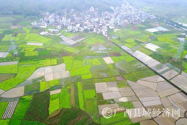 DJI_0028_