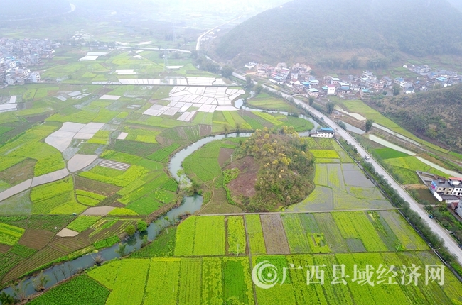 DJI_0041_