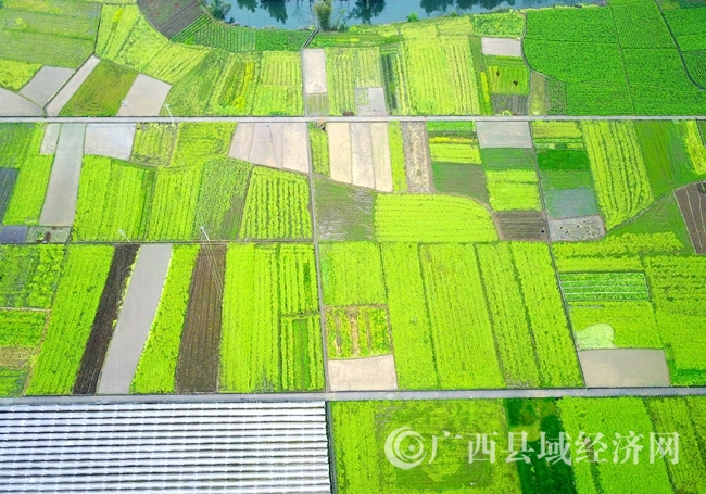 DJI_0034_
