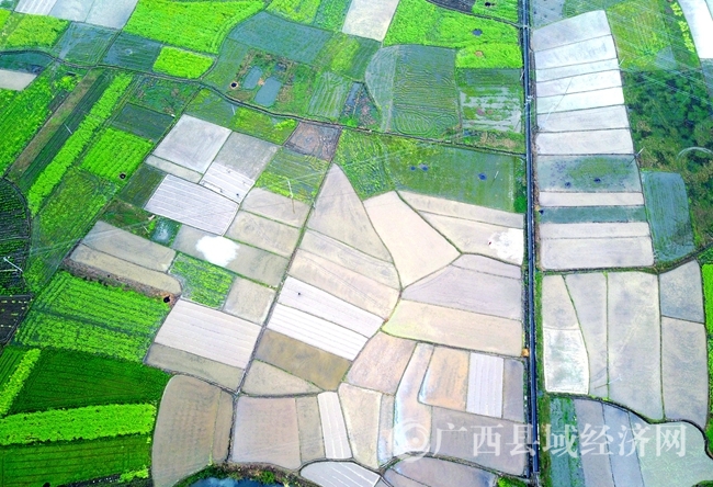 DJI_0015_