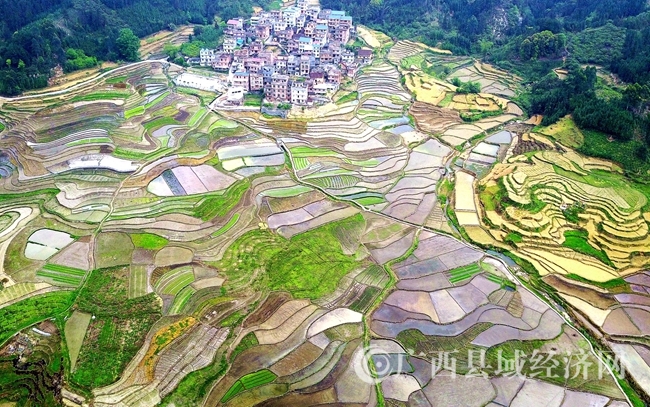 DJI_0380_