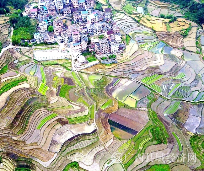 DJI_0363_