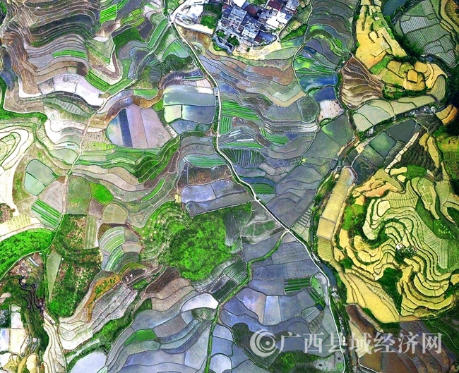 DJI_0393_