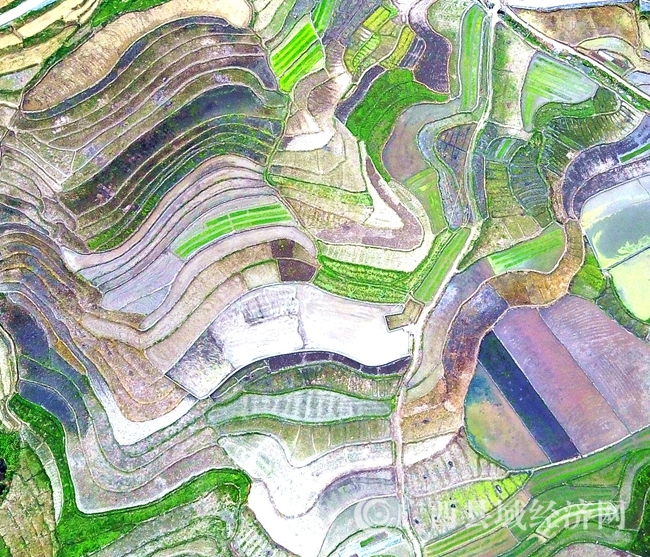 DJI_0374_