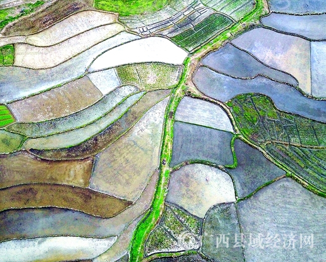 DJI_0379_