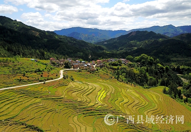 DJI_0574_