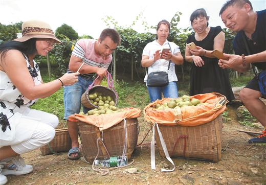 临桂区南边山镇升平村委马蹄桥村:移民新村话