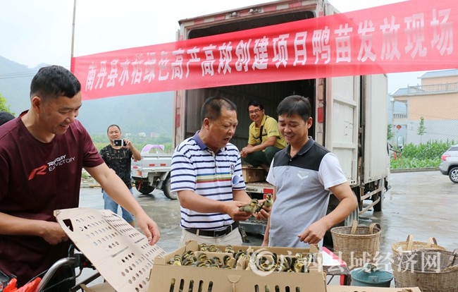 南丹有多少人口_南丹多少甘蔗的