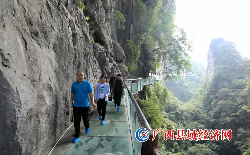 10月31日,在融安县石门仙湖景区,游客在体验玻璃栈道.(覃庆和 摄)