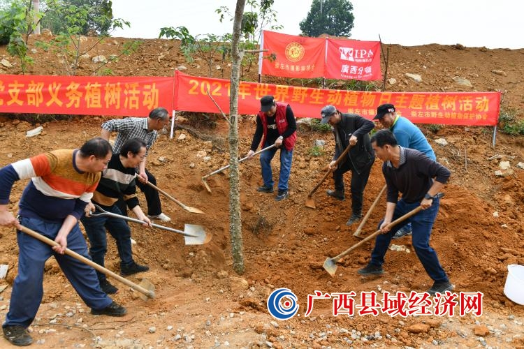 崇左摄影师开展“世界野生动植物日暨植树节”主题活动