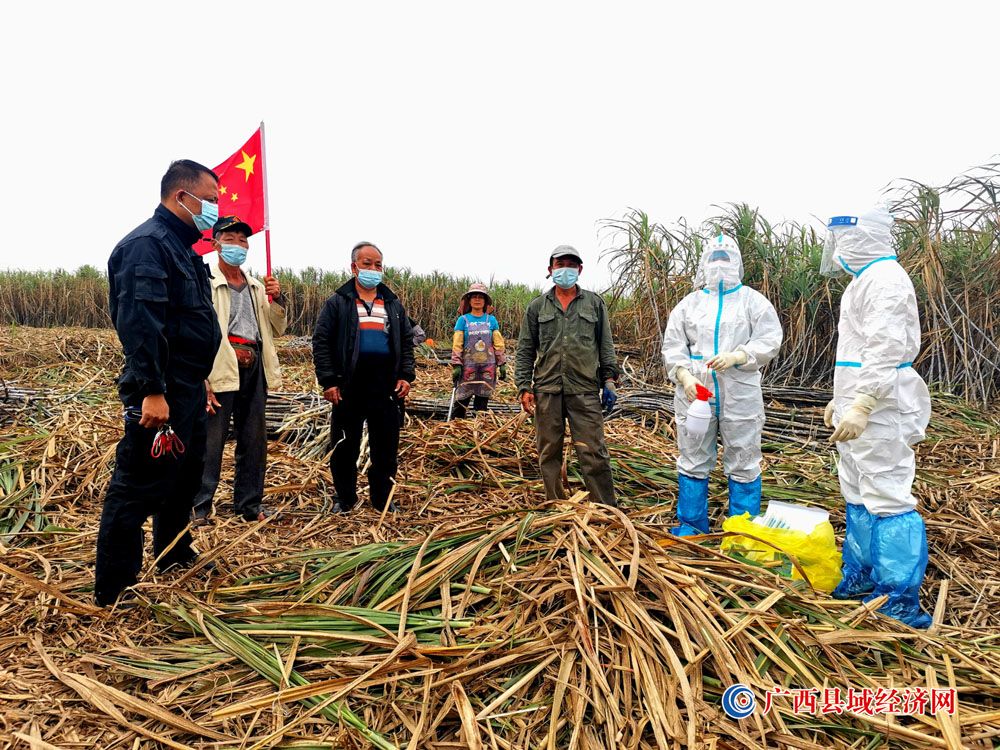 医务人员深入田间地头为群众进行核酸检测