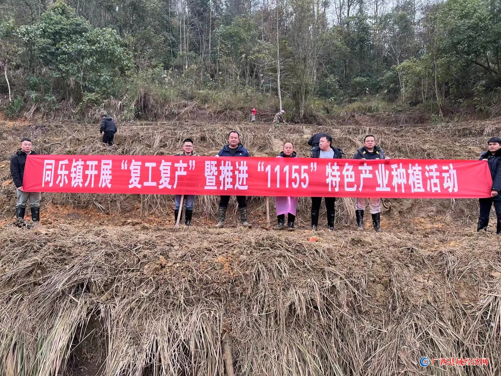 中核集团 同乐学校正对面 华泰建工村保障性住房_房产资讯_房天下