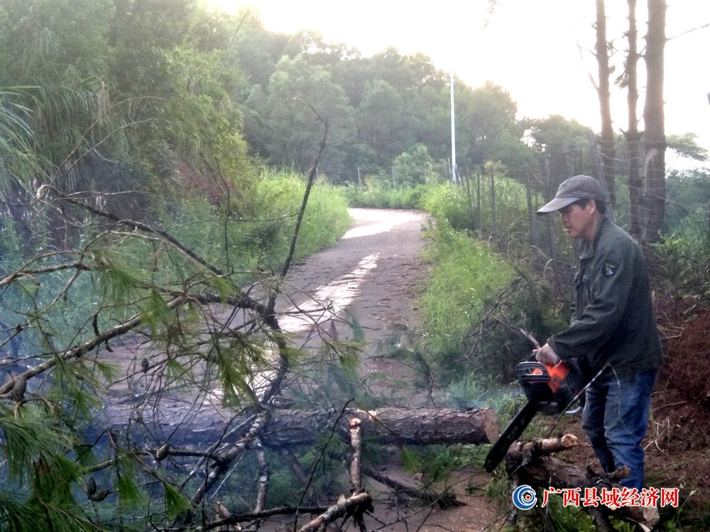 宁明县桐棉镇一线卡点人员及时清除台风马鞍带来险情