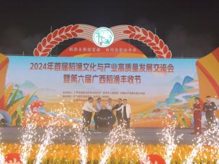 2024׽쵾Ļҵչߵսڻڹƽٰ