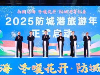 2025ǸĻ