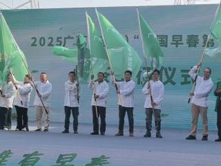2025й紺һ衱ϵлʢĻ