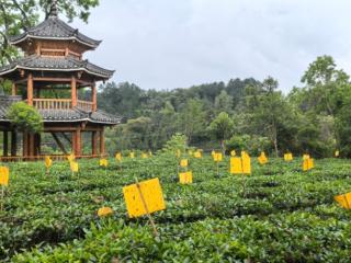ϻƪ 绪